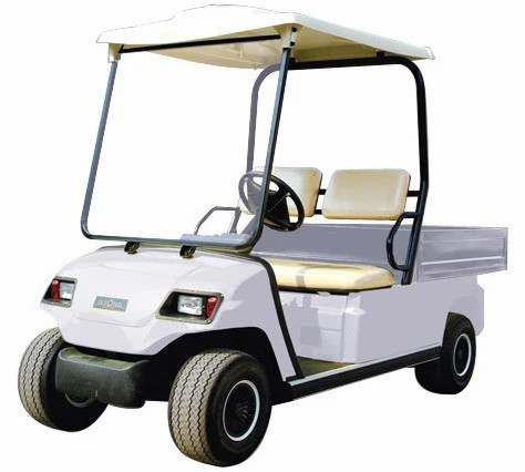 2 Seaters Electric Cart with Cargo Box